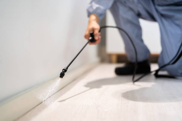 Bed Bug Pre-Treatment Preparation Assessment in St. James